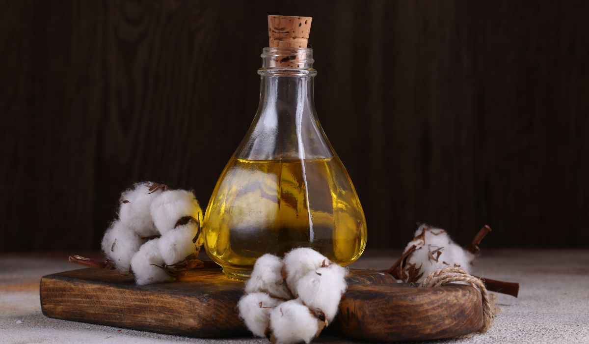 Premium oil seeds for agriculture & food industry